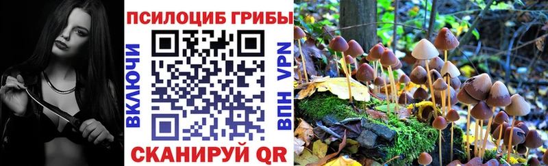 Галлюциногенные грибы Psilocybe  Ишим 