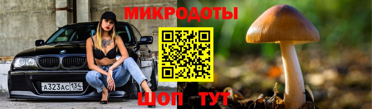 Галлюциногенные грибы Psilocybe  Псилоцибиновые грибы Cubensis  Вход с VPN  Ишим 